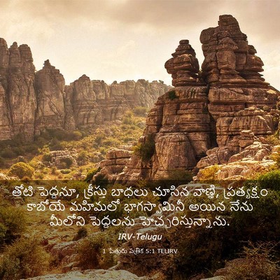 Picture 03 - 1 పేతురు పత్రిక 5:1 TELIRV - తోటి పెద్దనూ, - Bible Verse Picture