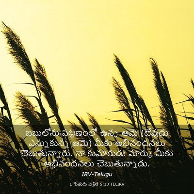 Picture 03 - 1 పేతురు పత్రిక 5:13 TELIRV - బబులోను పట్టణంలో - Bible Verse Picture