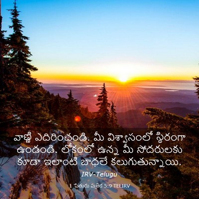 Picture 03 - 1 పేతురు పత్రిక 5:9 TELIRV - వాణ్ణి - Bible Verse Picture