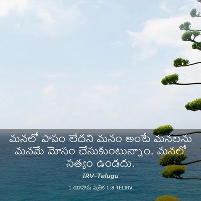 Picture 03 - 1 యోహాను పత్రిక 1:8 TELIRV - మనలో పాపం లేదని - Bible Verse Picture