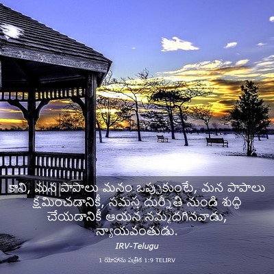 Picture 03 - 1 యోహాను పత్రిక 1:9 TELIRV - కాని, మన పాపాలు మనం - Bible Verse Picture
