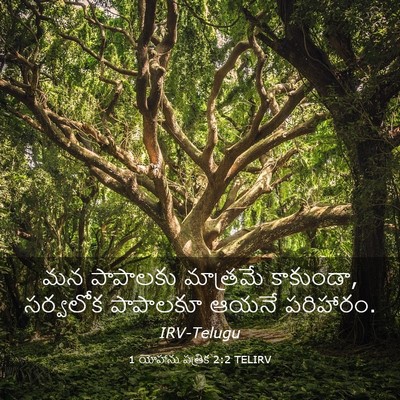Picture 03 - 1 యోహాను పత్రిక 2:2 TELIRV - మన పాపాలకు - Bible Verse Picture
