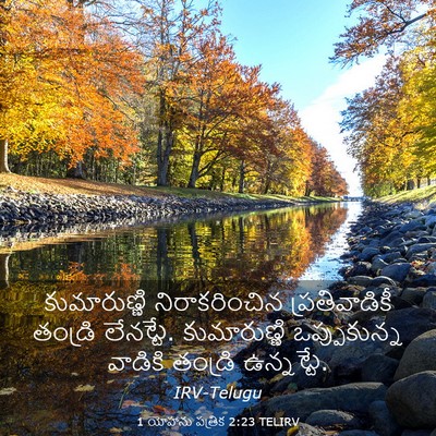Picture 03 - 1 యోహాను పత్రిక 2:23 TELIRV - కుమారుణ్ణి - Bible Verse Picture