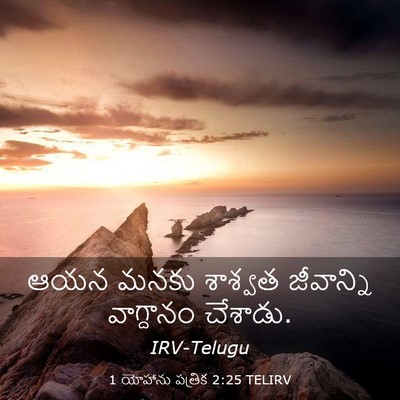Picture 03 - 1 యోహాను పత్రిక 2:25 TELIRV - ఆయన మనకు శాశ్వత - Bible Verse Picture