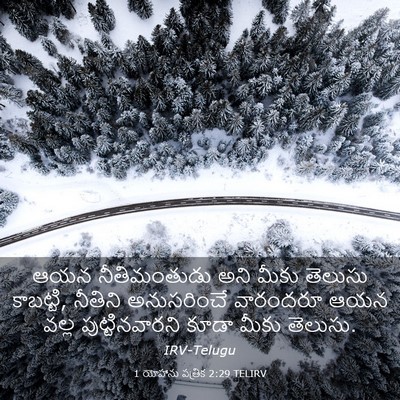 Picture 03 - 1 యోహాను పత్రిక 2:29 TELIRV - ఆయన నీతిమంతుడు - Bible Verse Picture