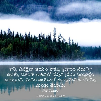Picture 03 - 1 యోహాను పత్రిక 2:5 TELIRV - కాని, ఎవరైనా ఆయన - Bible Verse Picture