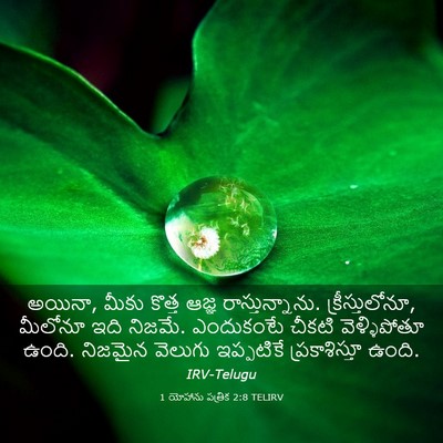 Picture 03 - 1 యోహాను పత్రిక 2:8 TELIRV - అయినా, మీకు కొత్త - Bible Verse Picture