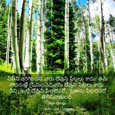 Picture 03 - 1 యోహాను పత్రిక 3:10 TELIRV - నీతిని జరిగించని - Bible Verse Picture