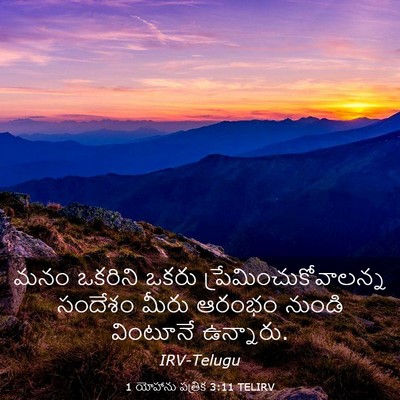Picture 03 - 1 యోహాను పత్రిక 3:11 TELIRV - మనం ఒకరిని ఒకరు - Bible Verse Picture