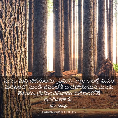 Picture 03 - 1 యోహాను పత్రిక 3:14 TELIRV - మనం మన సోదరులను - Bible Verse Picture