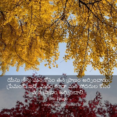Picture 03 - 1 యోహాను పత్రిక 3:16 TELIRV - యేసు క్రీస్తు మన - Bible Verse Picture