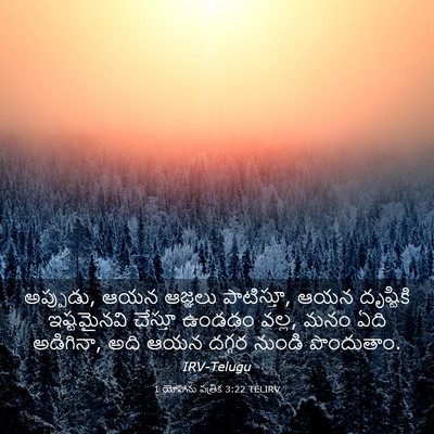 Picture 03 - 1 యోహాను పత్రిక 3:22 TELIRV - అప్పుడు, ఆయన - Bible Verse Picture
