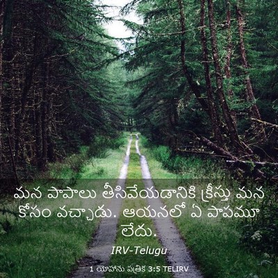 Picture 03 - 1 యోహాను పత్రిక 3:5 TELIRV - మన పాపాలు - Bible Verse Picture