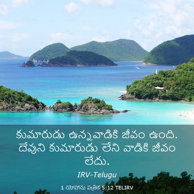 Picture 03 - 1 యోహాను పత్రిక 5:12 TELIRV - కుమారుడు - Bible Verse Picture