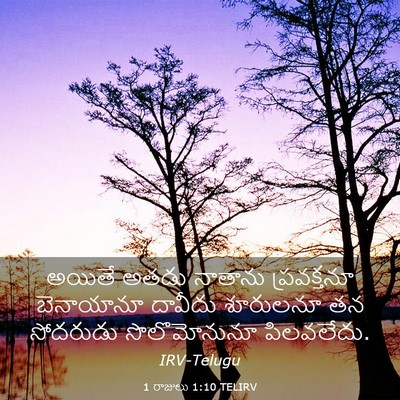 Picture 03 - 1 రాజులు 1:10 TELIRV - అయితే అతడు నాతాను - Bible Verse Picture
