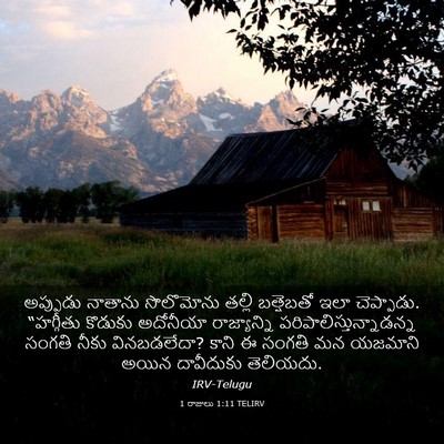 Picture 03 - 1 రాజులు 1:11 TELIRV - అప్పుడు నాతాను - Bible Verse Picture