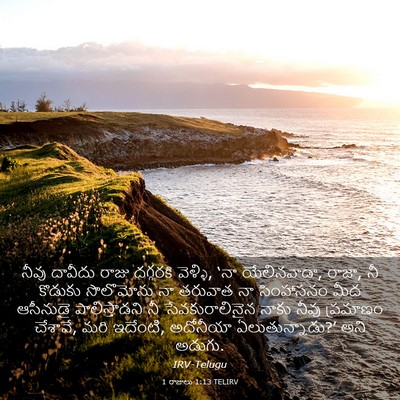 Picture 03 - 1 రాజులు 1:13 TELIRV - నీవు దావీదు రాజు - Bible Verse Picture