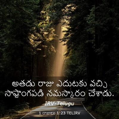 Picture 03 - 1 రాజులు 1:23 TELIRV - అతడు రాజు ఎదుటకు - Bible Verse Picture