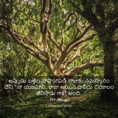 Picture 03 - 1 రాజులు 1:31 TELIRV - అప్పుడు బత్షెబ - Bible Verse Picture