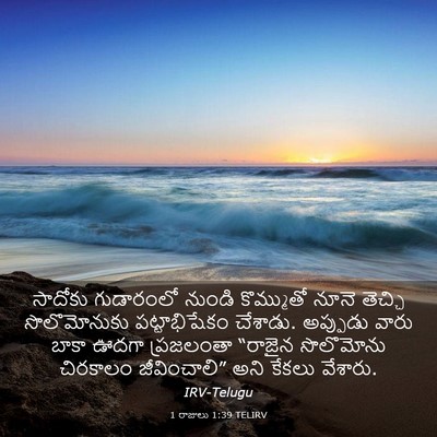 Picture 03 - 1 రాజులు 1:39 TELIRV - సాదోకు గుడారంలో - Bible Verse Picture