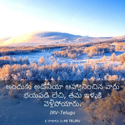 Picture 03 - 1 రాజులు 1:49 TELIRV - అందుకు అదోనీయా - Bible Verse Picture