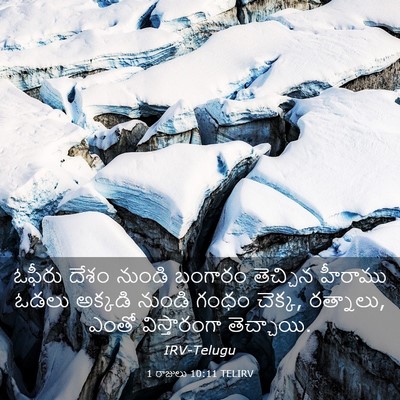 Picture 03 - 1 రాజులు 10:11 TELIRV - ఓఫీరు దేశం నుండి - Bible Verse Picture