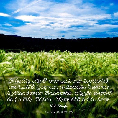 Picture 03 - 1 రాజులు 10:12 TELIRV - ఈ గంధపు చెక్కతో - Bible Verse Picture
