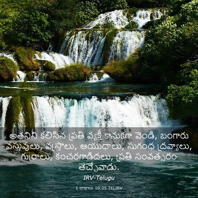 Picture 03 - 1 రాజులు 10:25 TELIRV - అతనిని కలిసిన - Bible Verse Picture