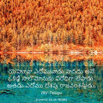 Picture 03 - 1 రాజులు 11:14 TELIRV - యెహోవా ఎదోమువాడు - Bible Verse Picture