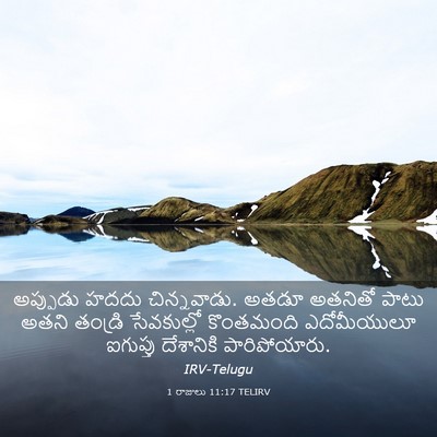 Picture 03 - 1 రాజులు 11:17 TELIRV - అప్పుడు హదదు - Bible Verse Picture