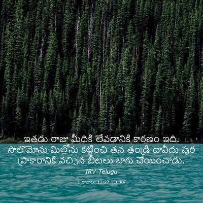Picture 03 - 1 రాజులు 11:27 TELIRV - ఇతడు రాజు మీదికి - Bible Verse Picture