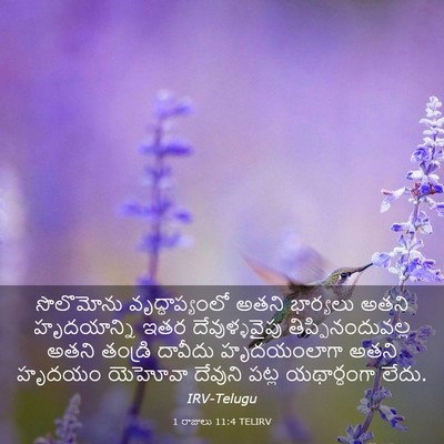 Picture 03 - 1 రాజులు 11:4 TELIRV - సొలొమోను - Bible Verse Picture
