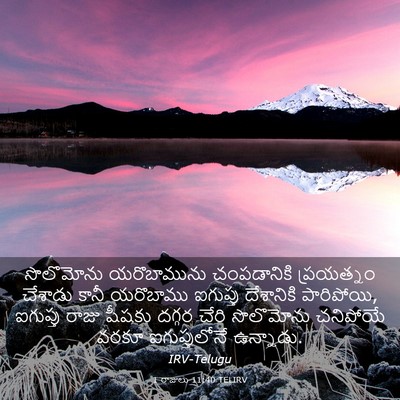 Picture 03 - 1 రాజులు 11:40 TELIRV - సొలొమోను - Bible Verse Picture