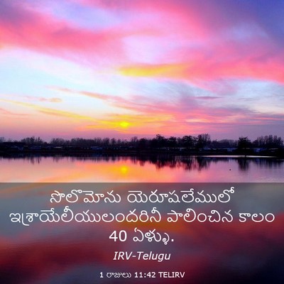 Picture 03 - 1 రాజులు 11:42 TELIRV - సొలొమోను - Bible Verse Picture