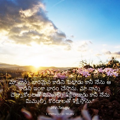 Picture 03 - 1 రాజులు 12:11 TELIRV - మా నాన్న భారమైన - Bible Verse Picture