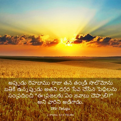 Picture 03 - 1 రాజులు 12:6 TELIRV - అప్పుడు రెహబాము - Bible Verse Picture