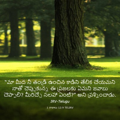 Picture 03 - 1 రాజులు 12:9 TELIRV - “మా మీద నీ తండ్రి - Bible Verse Picture
