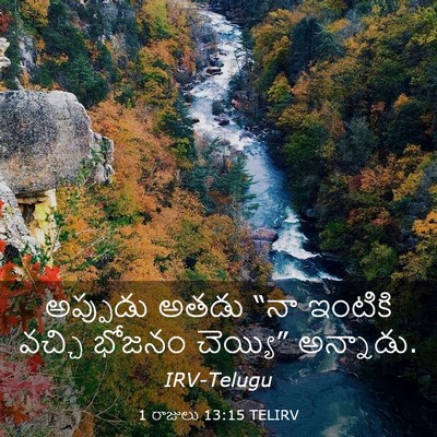 Picture 03 - 1 రాజులు 13:15 TELIRV - అప్పుడు అతడు “నా - Bible Verse Picture