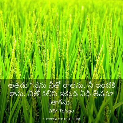 Picture 03 - 1 రాజులు 13:16 TELIRV - అతడు “నేను నీతో - Bible Verse Picture