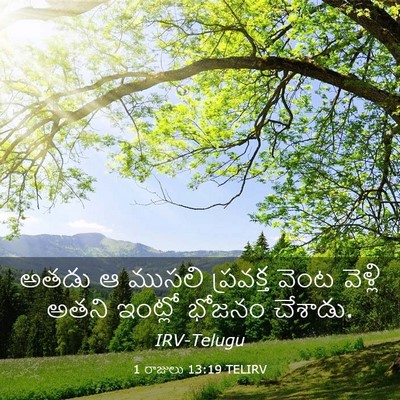 Picture 03 - 1 రాజులు 13:19 TELIRV - అతడు ఆ ముసలి - Bible Verse Picture