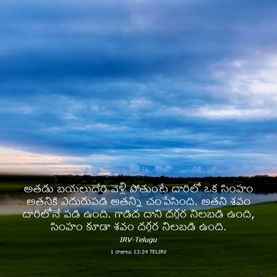 Picture 03 - 1 రాజులు 13:24 TELIRV - అతడు బయలుదేరి - Bible Verse Picture