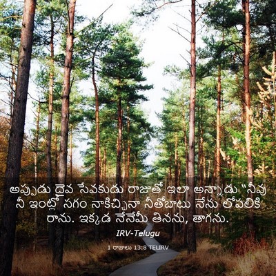 Picture 03 - 1 రాజులు 13:8 TELIRV - అప్పుడు దైవ - Bible Verse Picture