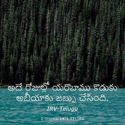 Picture 03 - 1 రాజులు 14:1 TELIRV - అదే రోజుల్లో - Bible Verse Picture