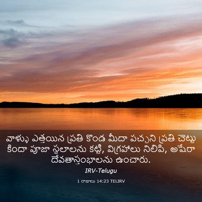 Picture 03 - 1 రాజులు 14:23 TELIRV - వాళ్ళు ఎత్తయిన - Bible Verse Picture