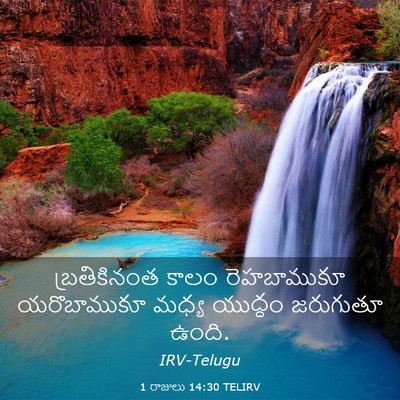 Picture 03 - 1 రాజులు 14:30 TELIRV - బ్రతికినంత కాలం - Bible Verse Picture