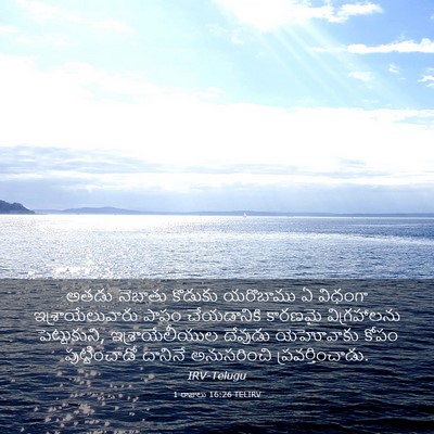 Picture 03 - 1 రాజులు 16:26 TELIRV - అతడు నెబాతు - Bible Verse Picture