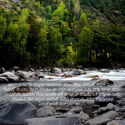 Picture 03 - 1 రాజులు 17:12 TELIRV - అందుకామె “నీ - Bible Verse Picture