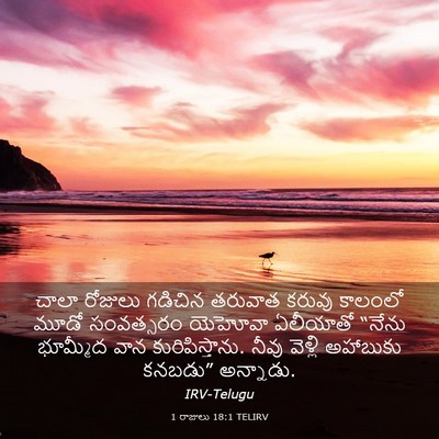 Picture 03 - 1 రాజులు 18:1 TELIRV - చాలా రోజులు - Bible Verse Picture