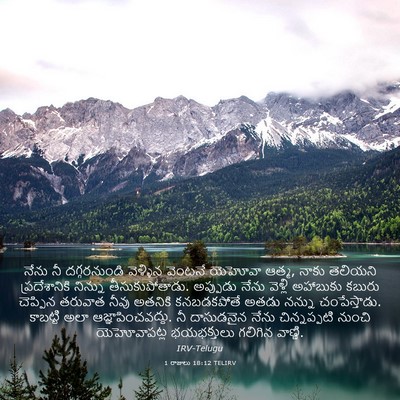 Picture 03 - 1 రాజులు 18:12 TELIRV - నేను నీ - Bible Verse Picture