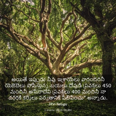Picture 03 - 1 రాజులు 18:19 TELIRV - అయితే ఇప్పుడు - Bible Verse Picture